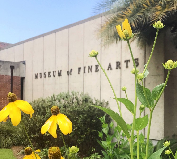 Florida State University Museum of Fine Arts (Tallahassee,&nbspFL)